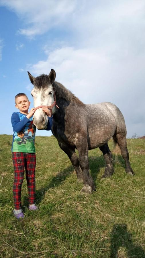 Domki W Bieszczadzkiej Dolinie ウストシキ・ドルネ エクステリア 写真